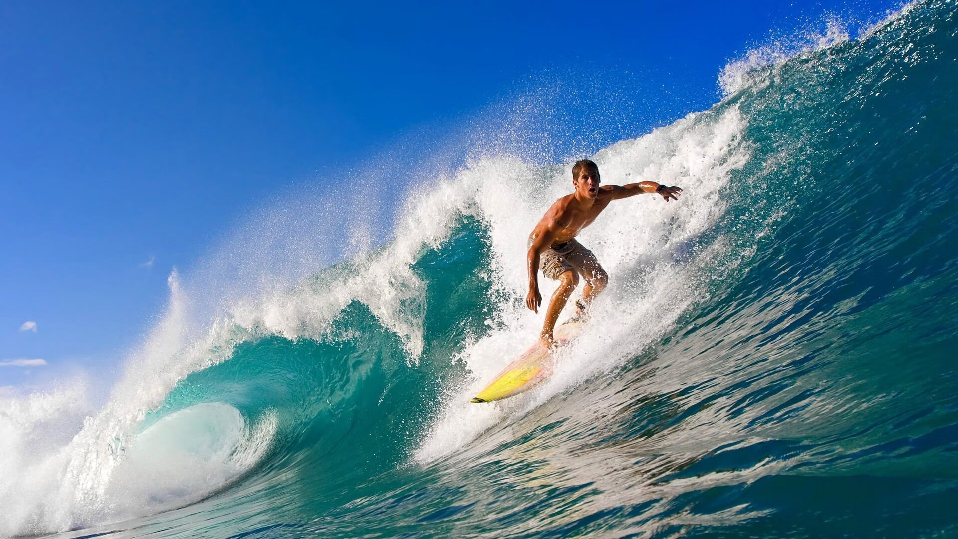 世界杯精彩场面:每一秒都动人心魄!,世界杯名场面